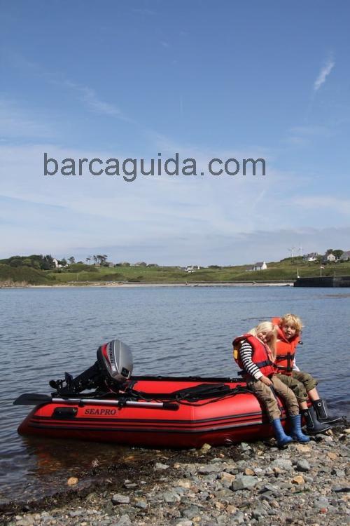 SeaPro 380 scheda tecnica e recensioni